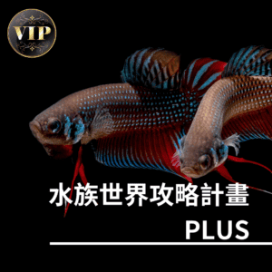 水族世界攻略計畫PLUS（含VIP）