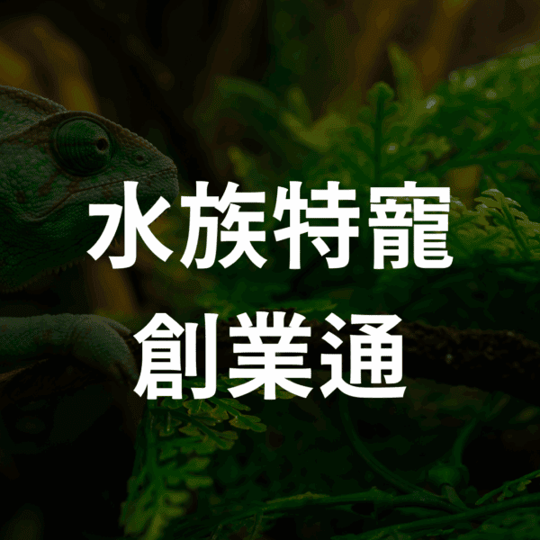 水族特寵創業通 -課程-