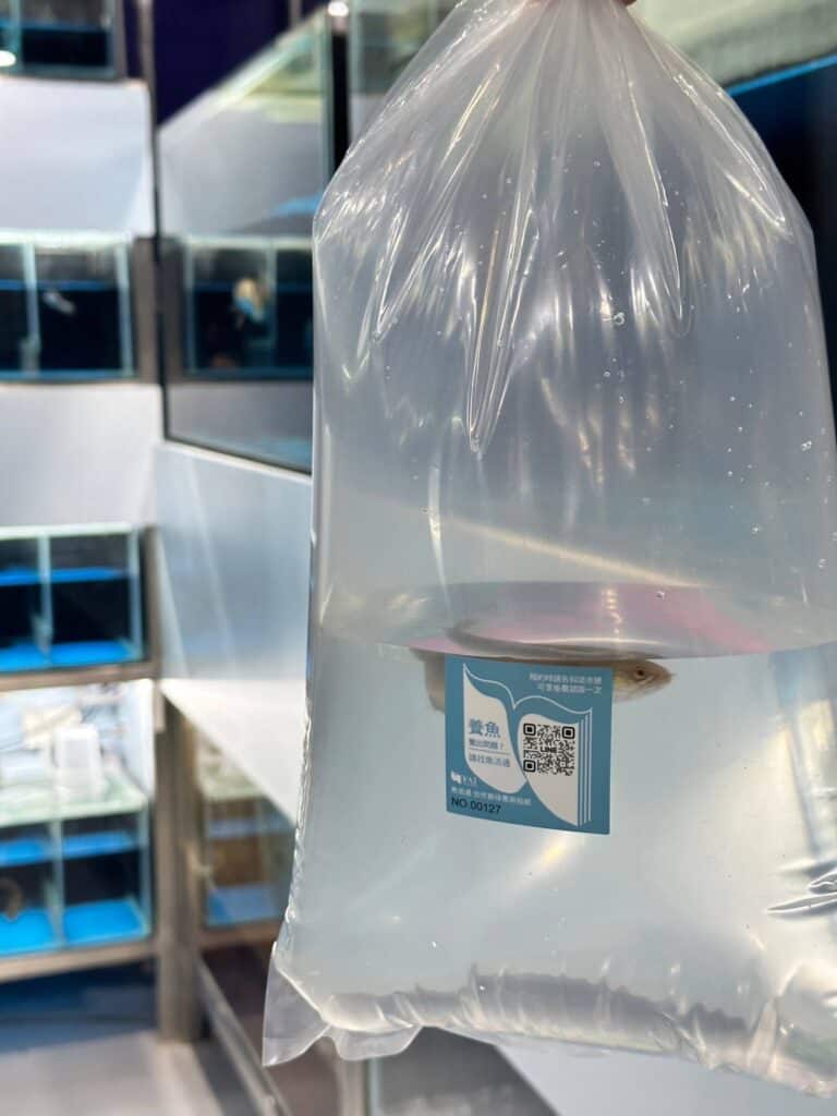 你買魚我幫顧