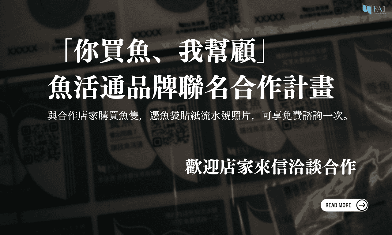 頁首Banner｜手機平板｜專案-你買魚我幫顧｜768X384
