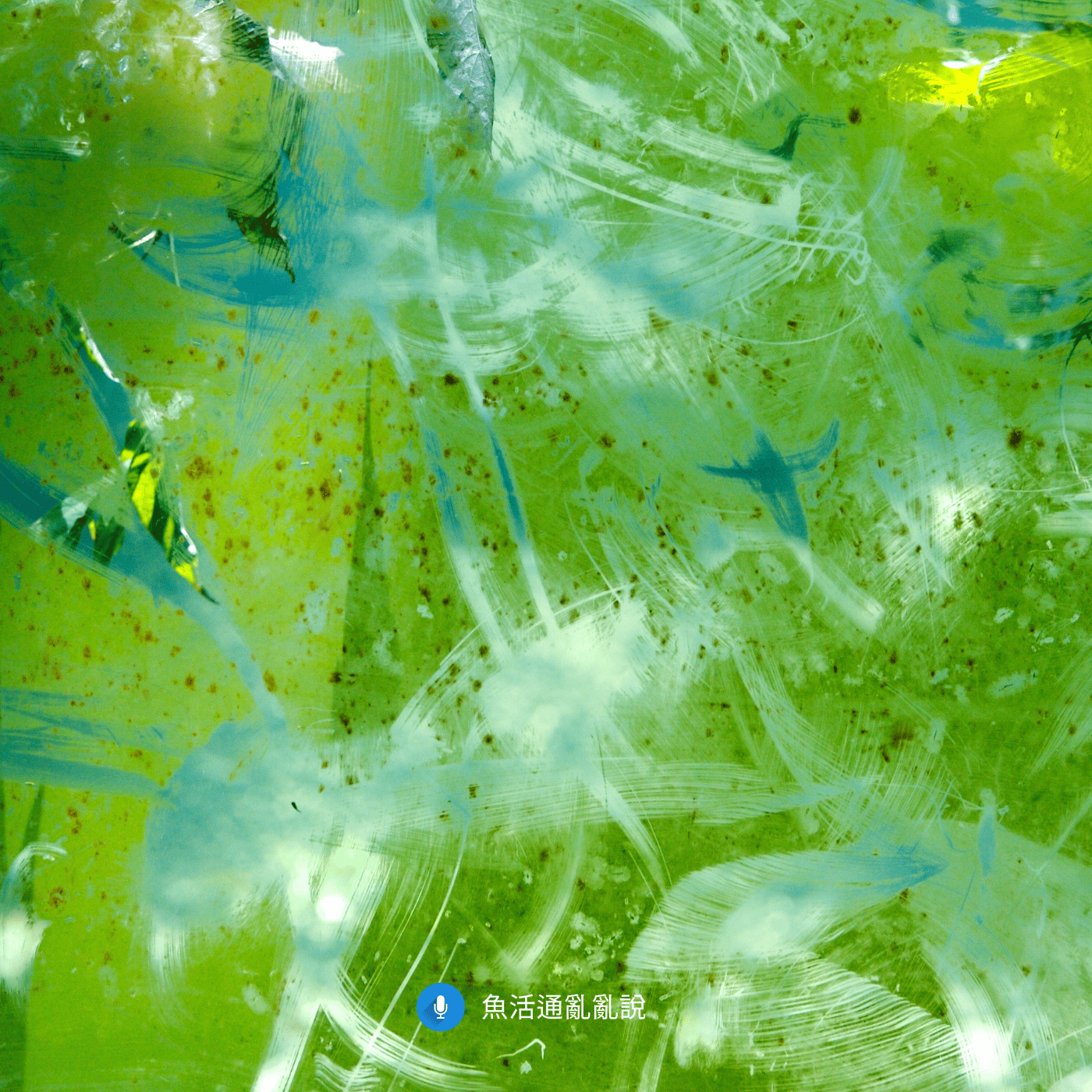 夏季魚缸操作細節盤點:10 大常被忽略的操作細節,守住你的魚缸防線! 夏季魚缸操作細節盤點:10 大常被忽略的操作細節,守住你的魚缸防線!