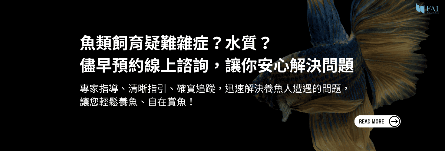 頁首Banner｜網頁版｜魚諮詢｜1470X500