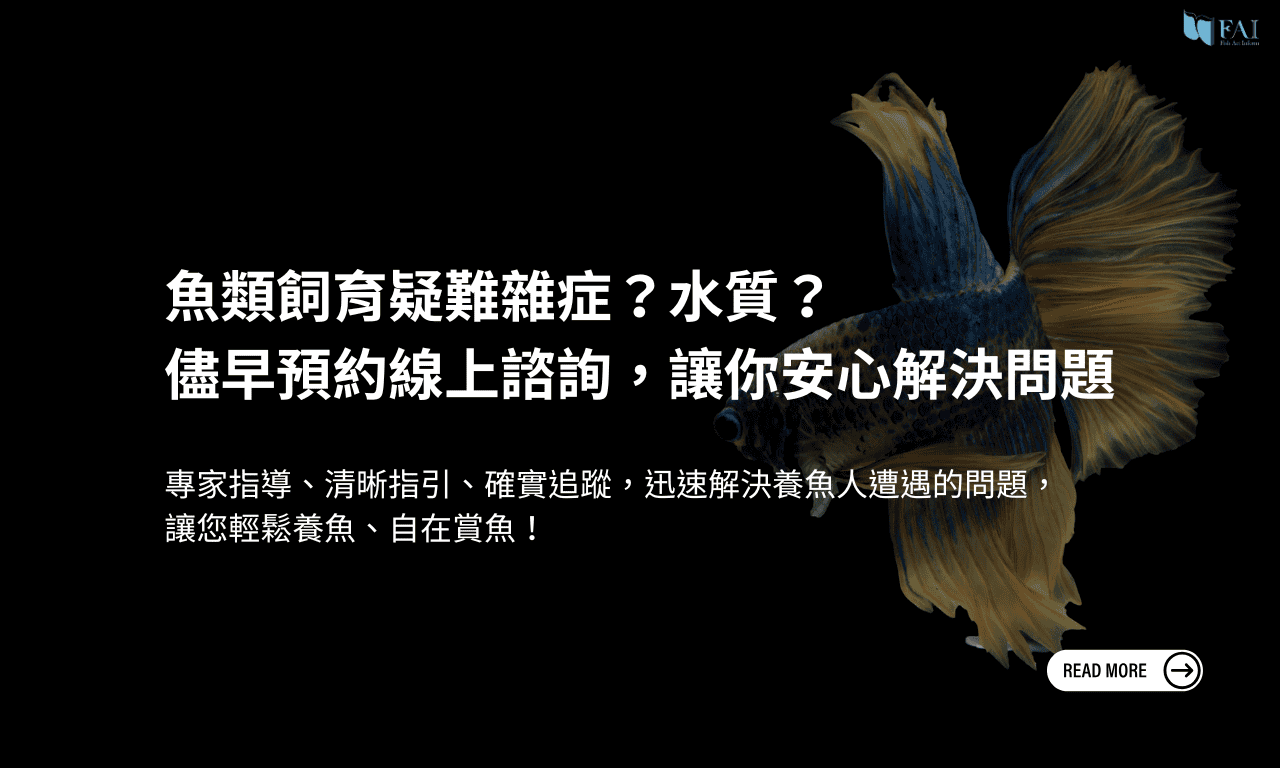 頁首Banner｜手機平板｜魚諮詢｜768X384
