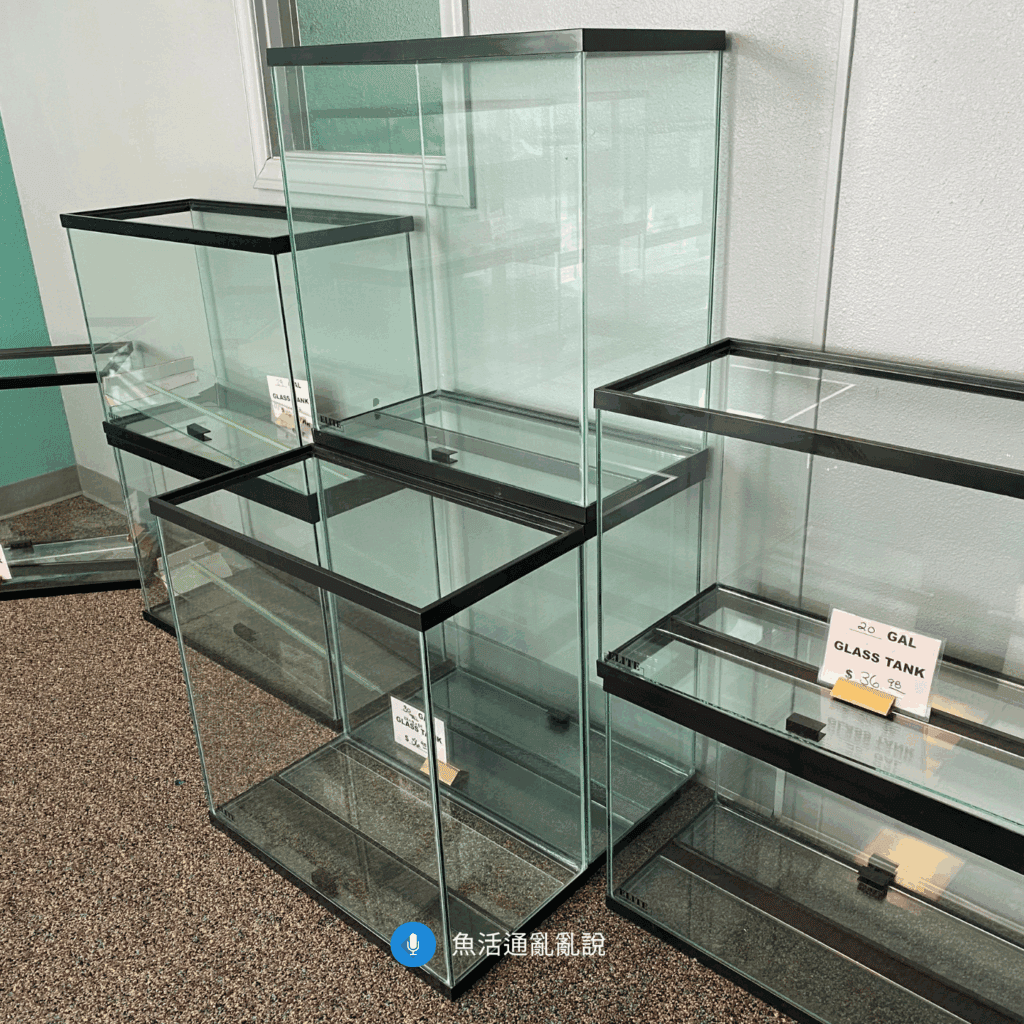 水族新手魚缸尺寸 二呎標準缸是最好的新手入坑缸