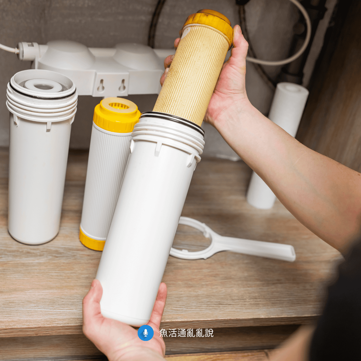 換水換進「毒水」？當三胞胎濾水器變成慢性風險：新手與老手都該修正的關鍵細節！