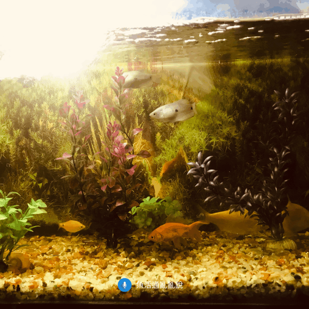 除了數據外的死亡原因盤點與自我操作盤查