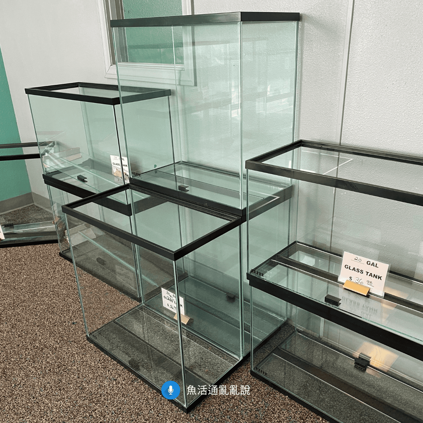 新手入坑！魚缸尺寸究竟要多大？關於二尺標準缸的「邊際效益」，讓水質操作都穩定又能幫你省荷包！