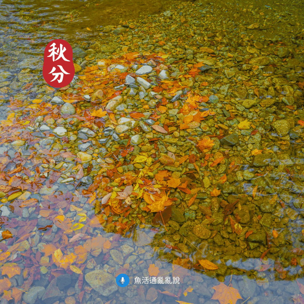 秋分與颱風的系統衝擊 季節更迭的水質變化和風險對策