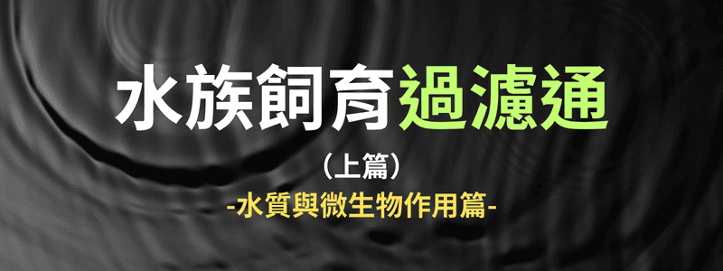 水族飼育過濾通上篇