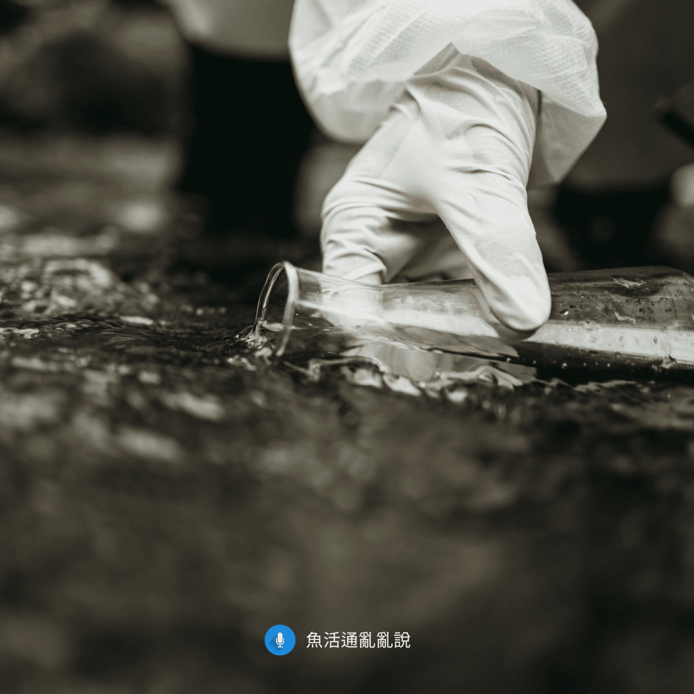 魚不是難養、而是被誤導的太多：關於九成的水族都市傳說都來自水質和濾材這件事