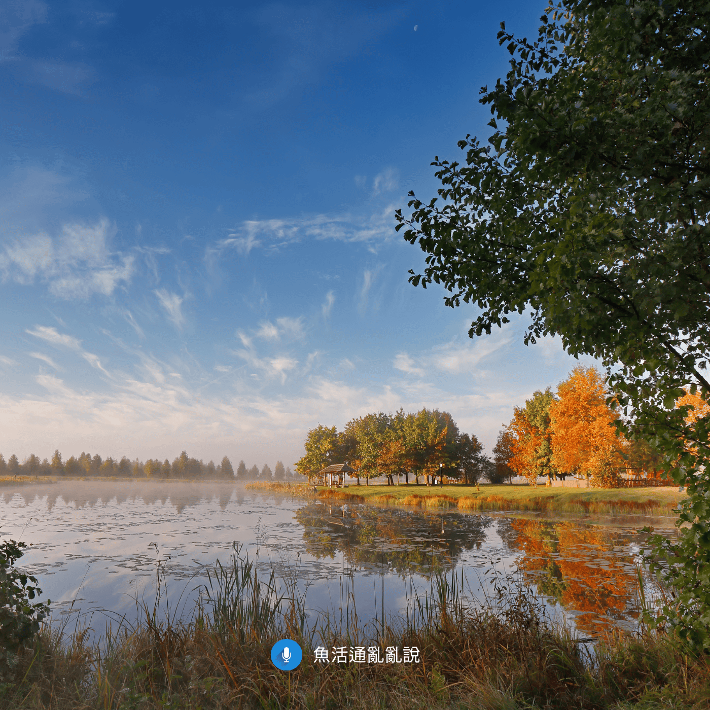 魚病注意報 -41- 穩定中的不穩定：東北季風與長時間降雨帶來了深秋的氣息！