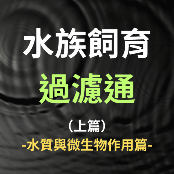 水族飼育過濾通 -上篇- 課程