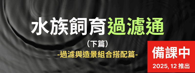 水族飼育過濾通(下篇)