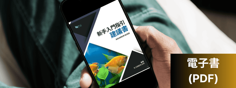 新手入門指引電子書