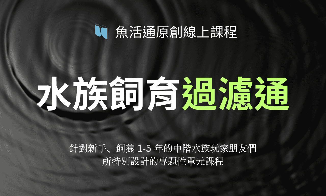 首頁｜過濾通｜課程AD｜1280 x 384