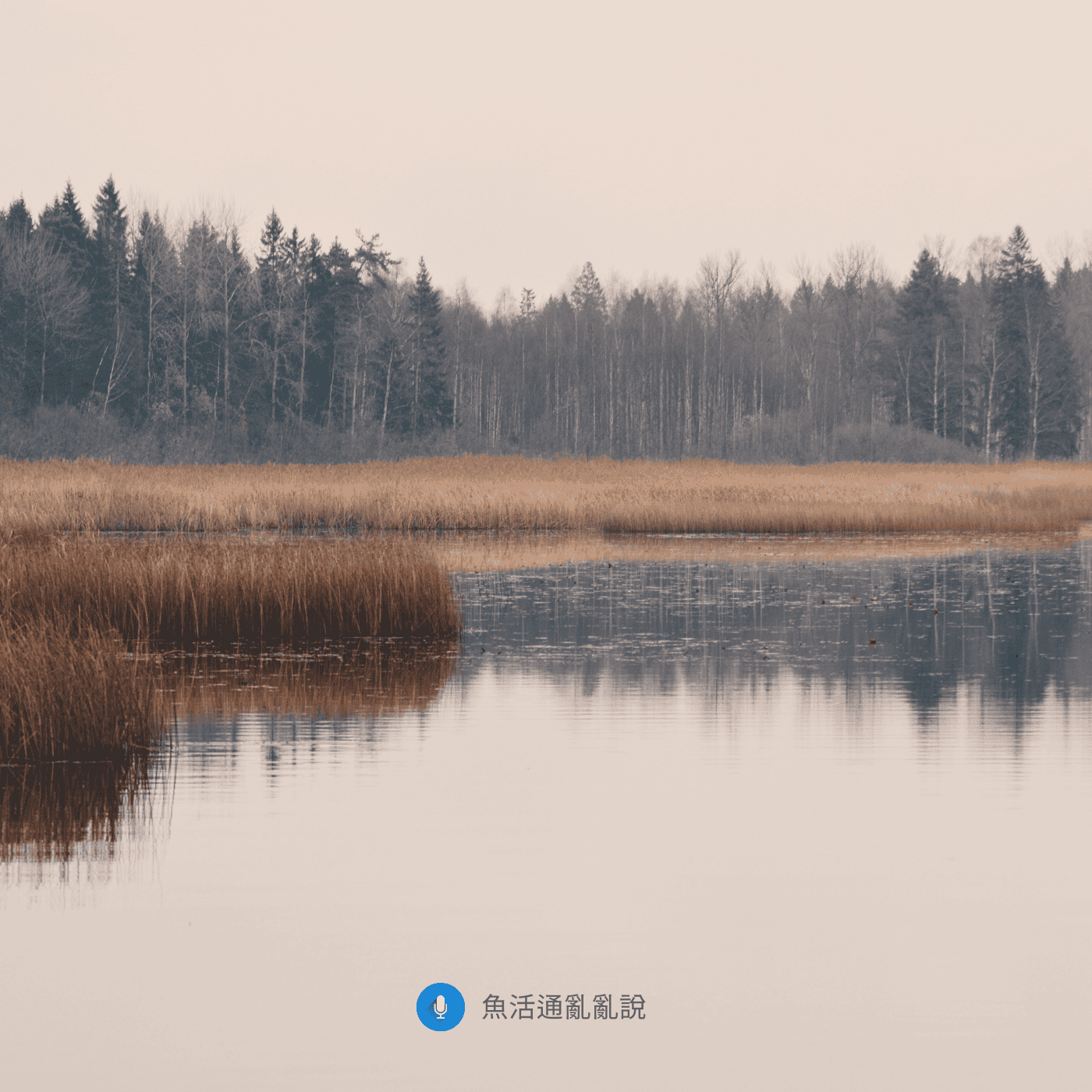 魚病注意報 -42- 濕冷十一月：颱風打亂節奏，原蟲接手的冬季分水嶺