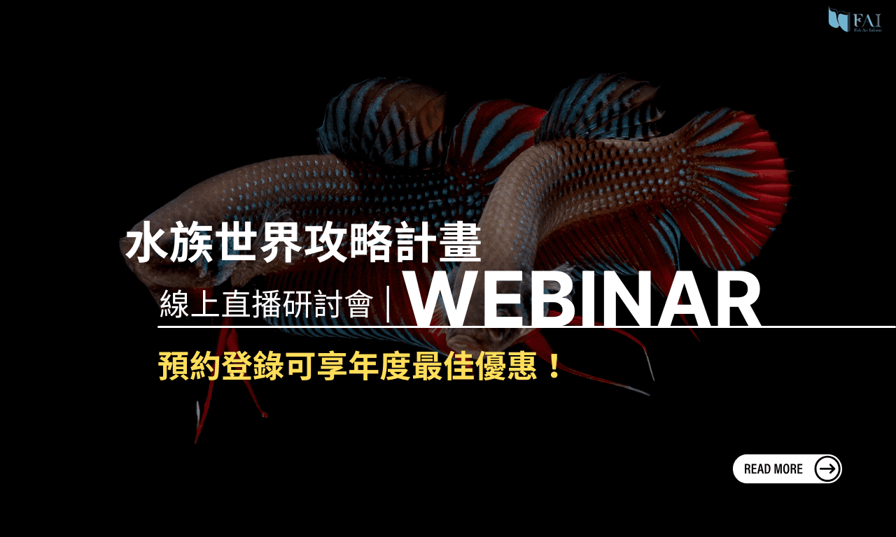 頁首Banner｜手機平板｜專案-攻略計畫年底直播優惠｜768X384