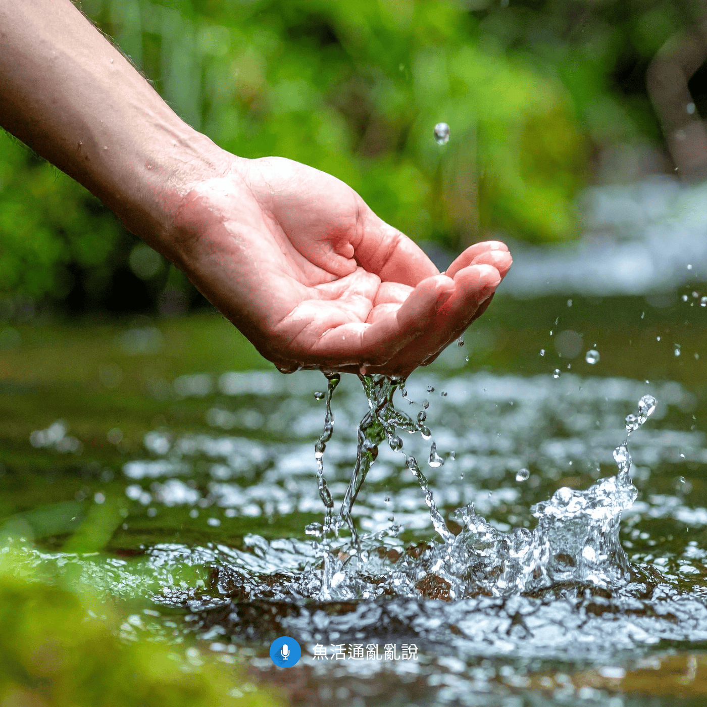 「自然界靠溢流,不靠換水」這句話,為什麼在水族飼養裡特別容易害人? 「自然界靠溢流,不靠換水」這句話,為什麼在水族飼養裡特別容易害人?