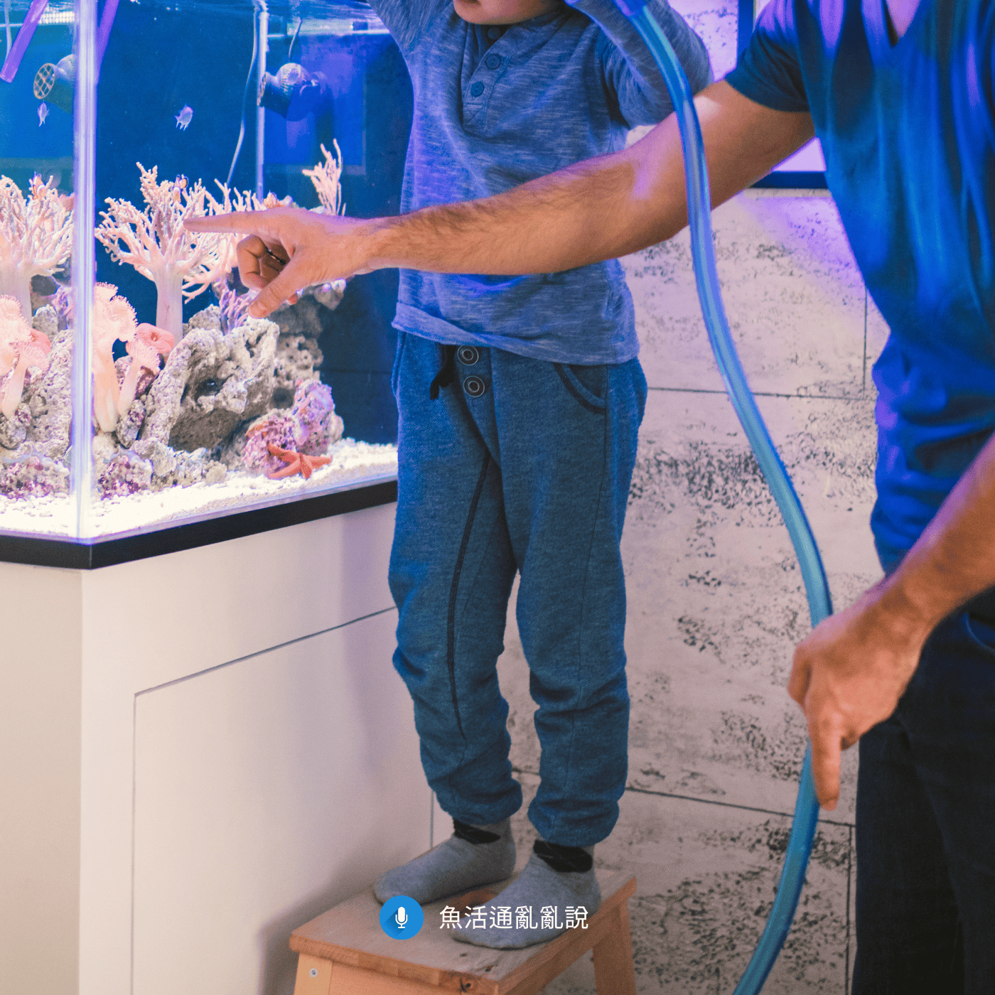 「經常換水會把好菌換掉」是都市傳說嗎？一次講清楚換水、硝化菌與開缸失控的真相