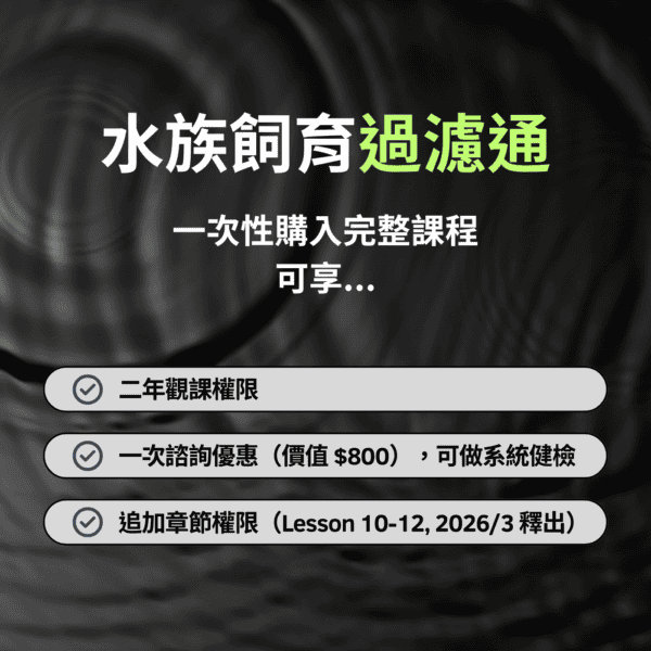水族飼育過濾通｜完整課程