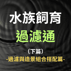 水族飼育過濾通 -下篇- 課程