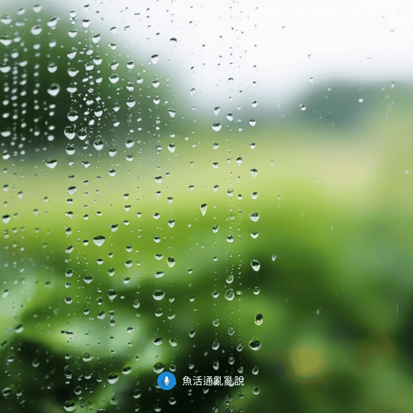 魚病注意報 -46- 春季氣候震盪引發水黴與病毒危機!四月養魚必看的四大觀測指標與疾病預警! 魚病注意報 -46- 春季氣候震盪引發水黴與病毒危機!四月養魚必看的四大觀測指標與疾病預警!