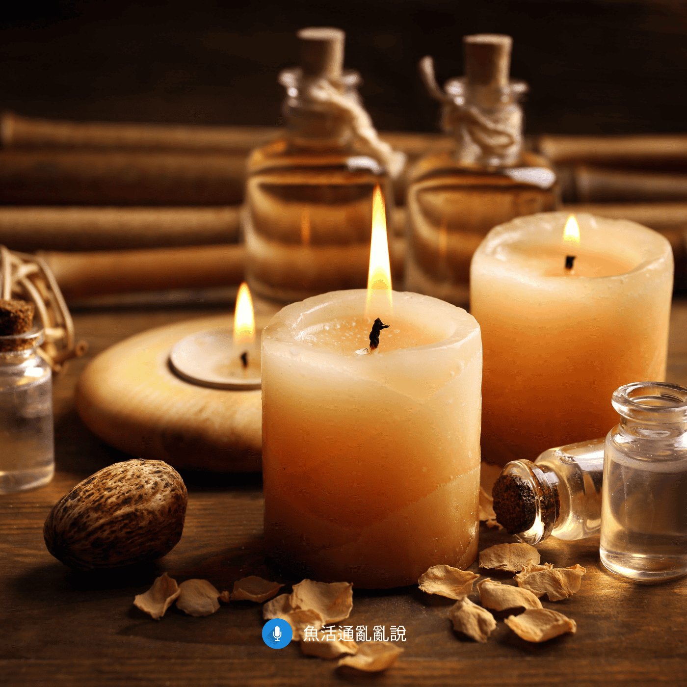 魚缸一直怪怪的？你可能不是水質出問題，而是「精油香氛」在慢性影響