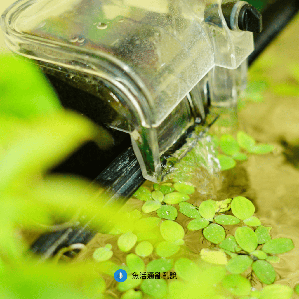 魚缸的外掛過濾器