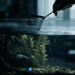 魚不對勁怎麼辦?當魚趴在角落不動、呼吸急促時,第一個動作決定了結局?缸外觀察三步驟讓你避免反而傷魚 魚不對勁怎麼辦?當魚趴在角落不動、呼吸急促時,第一個動作決定了結局?缸外觀察三步驟讓你避免反而傷魚